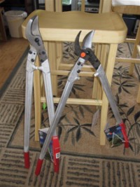 Felco loppers